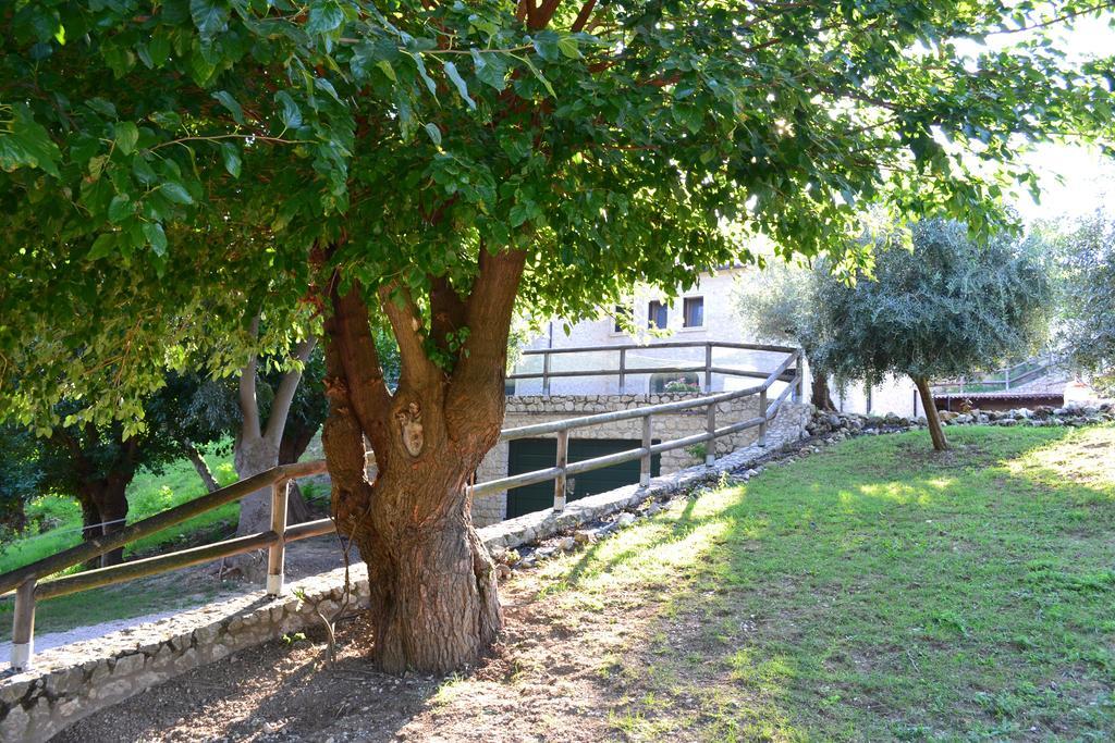 Casale La Rocchetta Bed & Breakfast Lonigo Eksteriør bilde